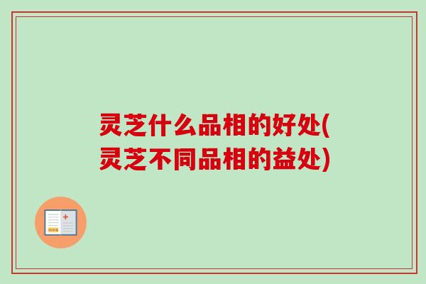 灵芝什么品相的好处(灵芝不同品相的益处)