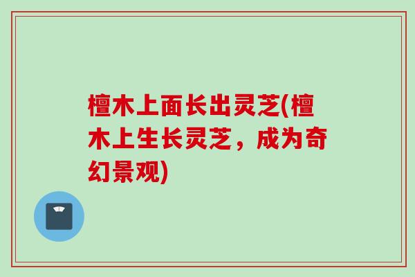 檀木上面长出灵芝(檀木上生长灵芝,成为奇幻景观) 檀木上面长出灵芝(檀木上生长灵芝,成为奇幻景观)