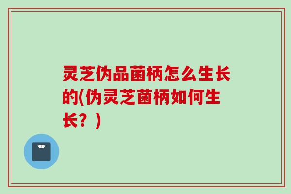 灵芝伪品菌柄怎么生长的(伪灵芝菌柄如何生长？)