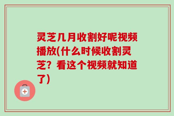 灵芝几月收割好呢视频播放(什么时候收割灵芝？看这个视频就知道了)