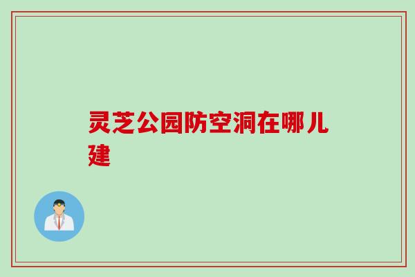灵芝公园防空洞在哪儿建