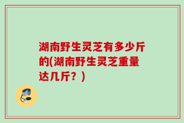 湖南野生灵芝有多少斤的(湖南野生灵芝重量达几斤？)
