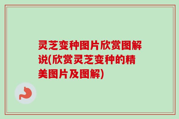 灵芝变种图片欣赏图解说(欣赏灵芝变种的精美图片及图解)