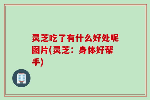 灵芝吃了有什么好处呢图片(灵芝：身体好帮手)