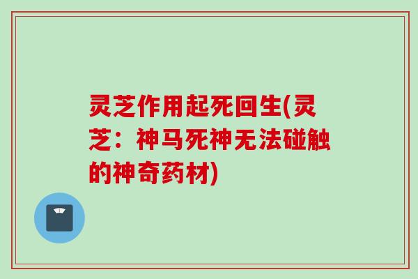 灵芝作用起死回生(灵芝：神马死神无法碰触的神奇药材)