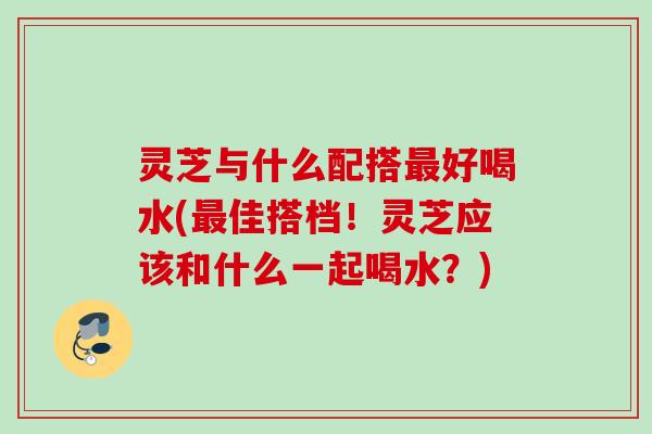 灵芝与什么配搭最好喝水(最佳搭档！灵芝应该和什么一起喝水？)