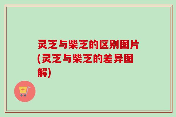 灵芝与柴芝的区别图片(灵芝与柴芝的差异图解) 灵芝与柴芝的区别图片(灵芝与柴芝的差异图解)