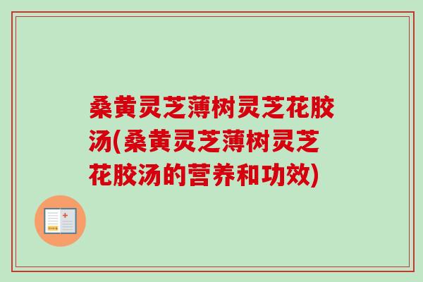 桑黄灵芝薄树灵芝花胶汤(桑黄灵芝薄树灵芝花胶汤的营养和功效)