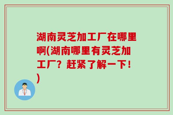 湖南灵芝加工厂在哪里啊(湖南哪里有灵芝加工厂？赶紧了解一下！)