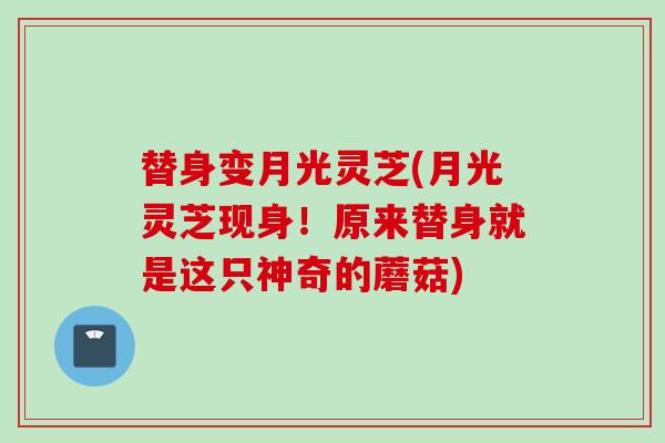 替身变月光灵芝(月光灵芝现身！原来替身就是这只神奇的蘑菇)