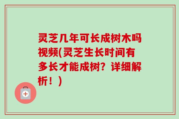 灵芝几年可长成树木吗视频(灵芝生长时间有多长才能成树？详细解析！)
