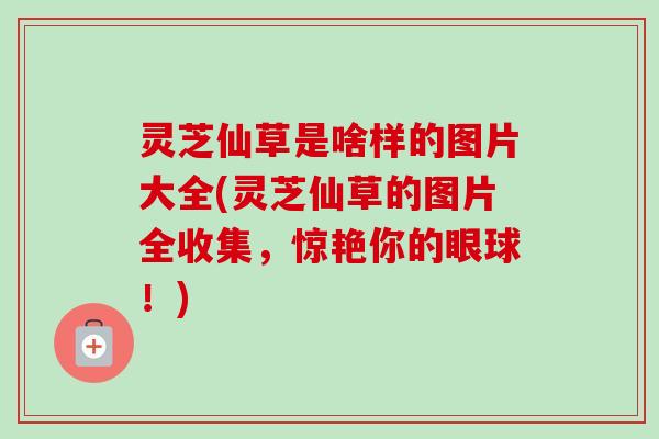 灵芝仙草是啥样的图片大全(灵芝仙草的图片全收集，惊艳你的眼球！)
