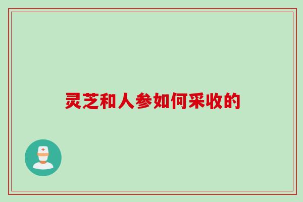 灵芝和人参如何采收的 灵芝和人参如何采收的