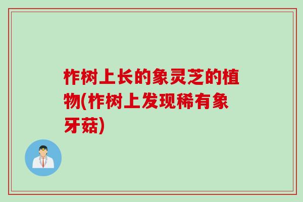 柞树上长的象灵芝的植物(柞树上发现稀有象牙菇)