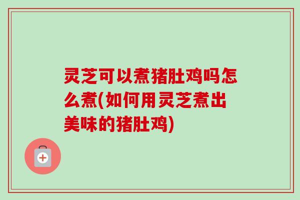 灵芝可以煮猪肚鸡吗怎么煮(如何用灵芝煮出美味的猪肚鸡)