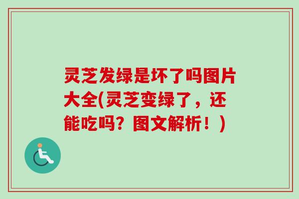 灵芝发绿是坏了吗图片大全(灵芝变绿了,还能吃吗?图文解析!) 灵芝发绿是坏了吗图片大全(灵芝变绿了,还能吃吗?图文解析!)