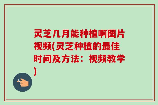 灵芝几月能种植啊图片视频(灵芝种植的最佳时间及方法：视频教学)