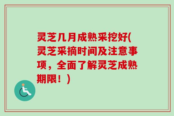 灵芝几月成熟采挖好(灵芝采摘时间及注意事项,全面了解灵芝成熟期限!) 灵芝几月成熟采挖好(灵芝采摘时间及注意事项,全面了解灵芝成熟期限!)