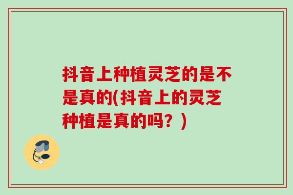 抖音上种植灵芝的是不是真的(抖音上的灵芝种植是真的吗?) 抖音上种植灵芝的是不是真的(抖音上的灵芝种植是真的吗?)
