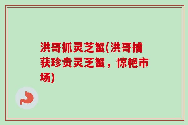 洪哥抓灵芝蟹(洪哥捕获珍贵灵芝蟹，惊艳市场)