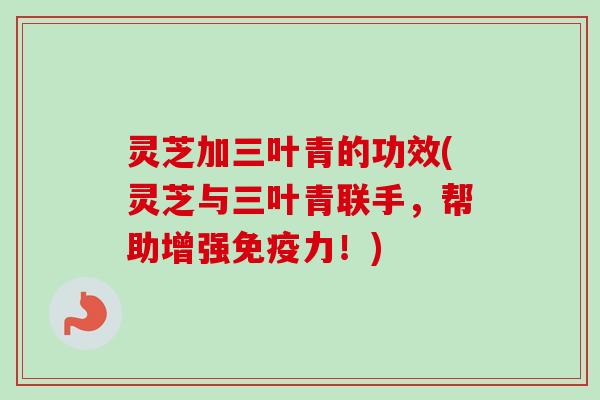 灵芝加三叶青的功效(灵芝与三叶青联手，帮助增强免疫力！)