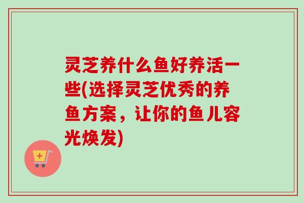 灵芝养什么鱼好养活一些(选择灵芝优秀的养鱼方案，让你的鱼儿容光焕发)