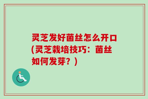 灵芝发好菌丝怎么开口(灵芝栽培技巧：菌丝如何发芽？)