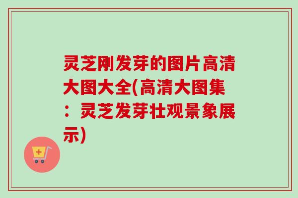 灵芝刚发芽的图片高清大图大全(高清大图集：灵芝发芽壮观景象展示)