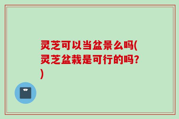灵芝可以当盆景么吗(灵芝盆栽是可行的吗?) 灵芝可以当盆景么吗(灵芝盆栽是可行的吗?)