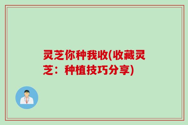 灵芝你种我收(收藏灵芝：种植技巧分享)