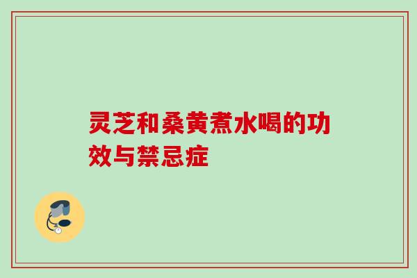 灵芝和桑黄煮水喝的功效与禁忌症
