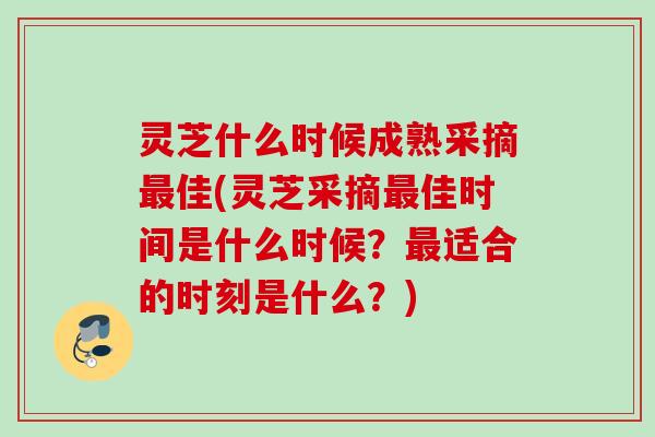灵芝什么时候成熟采摘最佳(灵芝采摘最佳时间是什么时候？最适合的时刻是什么？)