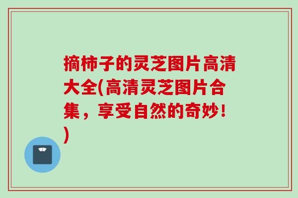 摘柿子的灵芝图片高清大全(高清灵芝图片合集,享受自然的奇妙!) 摘柿子的灵芝图片高清大全(高清灵芝图片合集,享受自然的奇妙!)