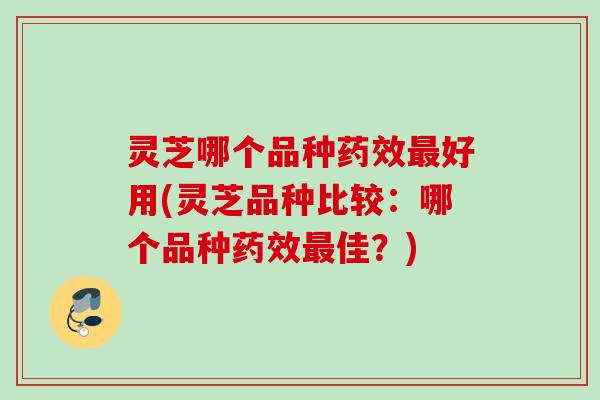灵芝哪个品种好用(灵芝品种比较:哪个品种佳?) 灵芝哪个品种好用(灵芝品种比较:哪个品种佳?)