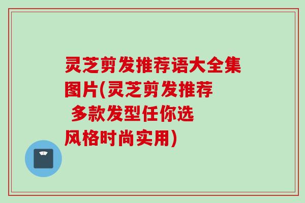 灵芝剪发推荐语大全集图片(灵芝剪发推荐  多款发型任你选  风格时尚实用)