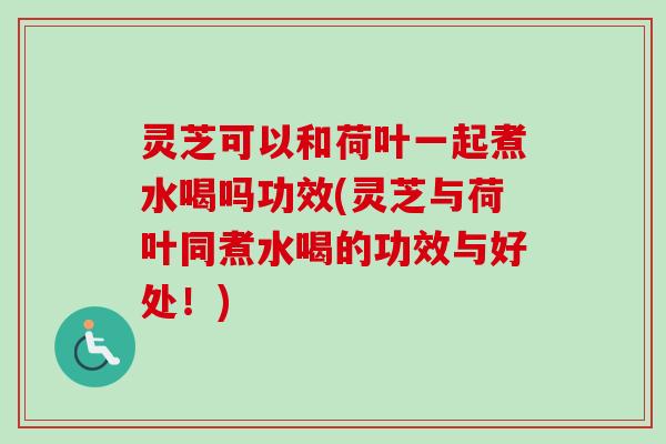 灵芝可以和荷叶一起煮水喝吗功效(灵芝与荷叶同煮水喝的功效与好处！)