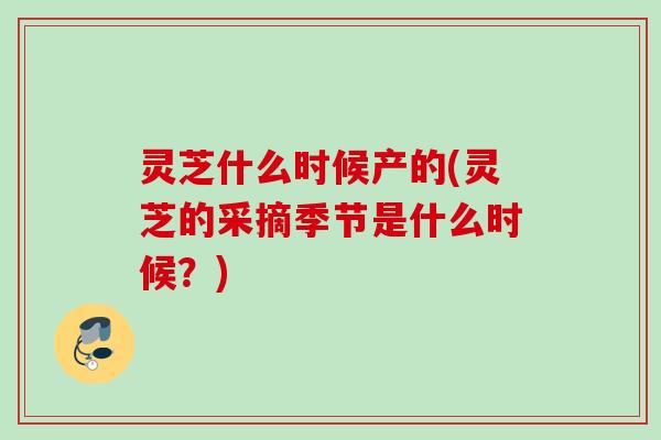 灵芝什么时候产的(灵芝的采摘季节是什么时候？)