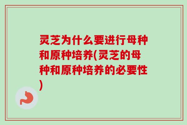 灵芝为什么要进行母种和原种培养(灵芝的母种和原种培养的必要性)
