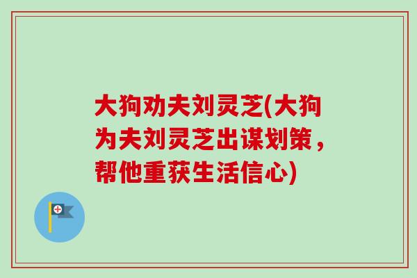 大狗劝夫刘灵芝(大狗为夫刘灵芝出谋划策，帮他重获生活信心)