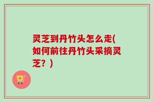 灵芝到丹竹头怎么走(如何前往丹竹头采摘灵芝？)