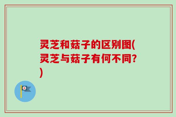 灵芝和菇子的区别图(灵芝与菇子有何不同？)