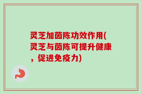 灵芝加茵陈功效作用(灵芝与茵陈可提升健康，促进免疫力)