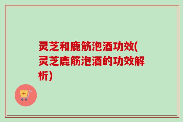 灵芝和鹿筋泡酒功效(灵芝鹿筋泡酒的功效解析)
