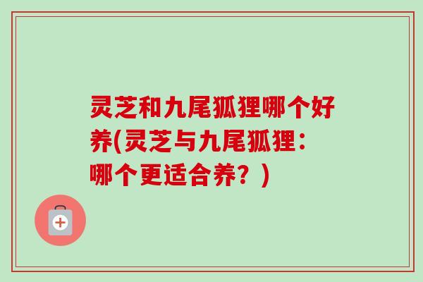 灵芝和九尾狐狸哪个好养(灵芝与九尾狐狸：哪个更适合养？)
