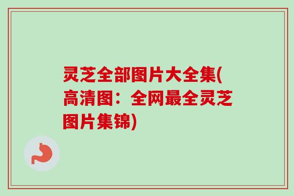 灵芝全部图片大全集(高清图：全网最全灵芝图片集锦)