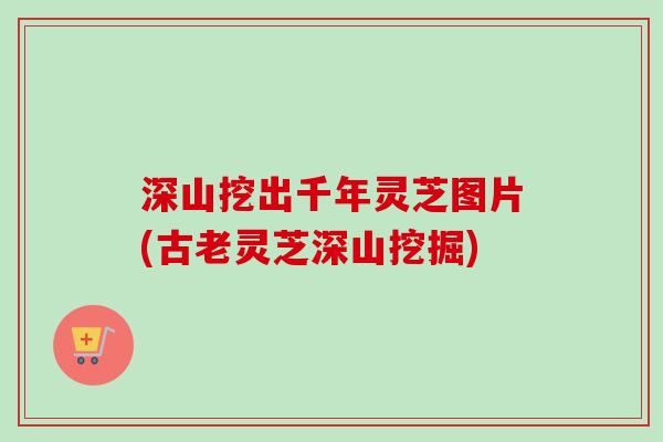 深山挖出千年灵芝图片(古老灵芝深山挖掘)