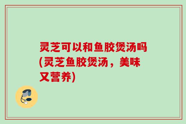 灵芝可以和鱼胶煲汤吗(灵芝鱼胶煲汤，美味又营养)