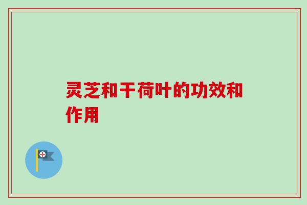 灵芝和干荷叶的功效和作用