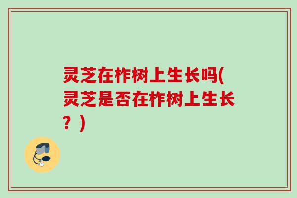 灵芝在柞树上生长吗(灵芝是否在柞树上生长？)