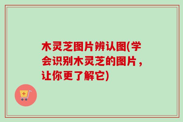 木灵芝图片辨认图(学会识别木灵芝的图片，让你更了解它)